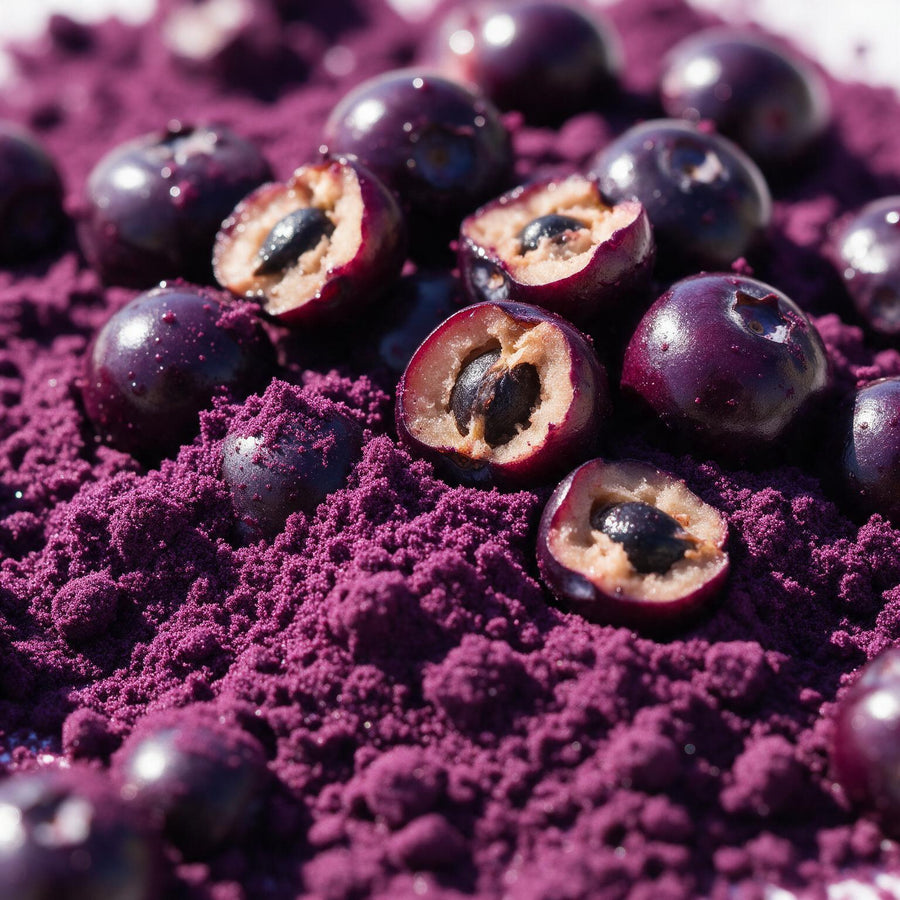 Açaí liofilizado
